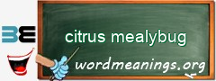 WordMeaning blackboard for citrus mealybug